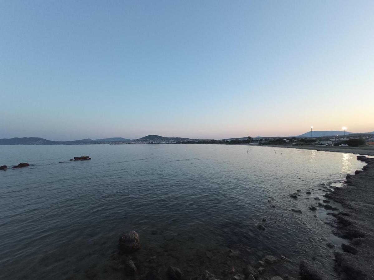 Apartment Flat With Garden Near Sea, Port And Airport *
