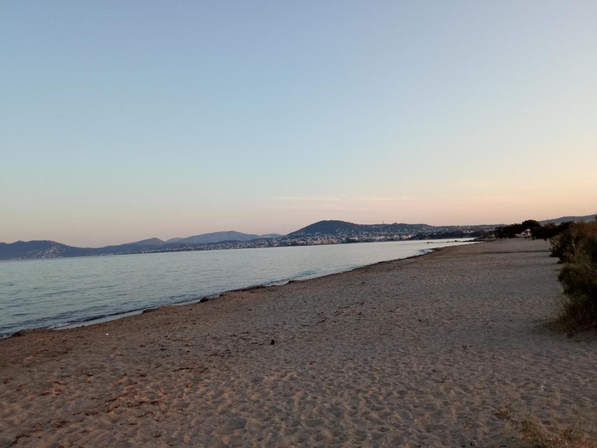 Flat With Garden Near Sea, Port And Airport Artemida (Attica)
