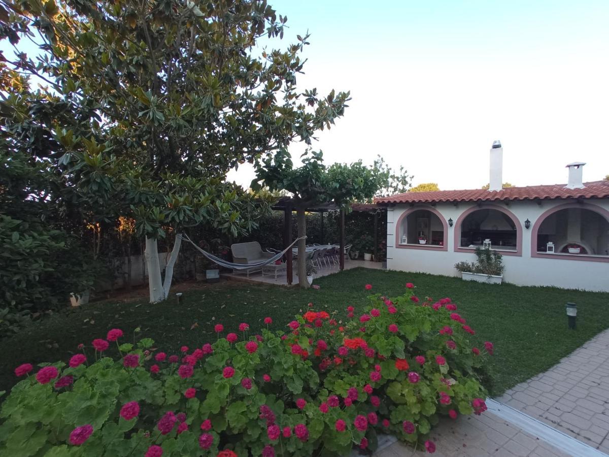Flat With Garden Near Sea, Port And Airport