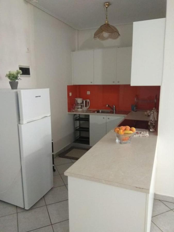 Flat With Garden Near Sea, Port And Airport Apartment