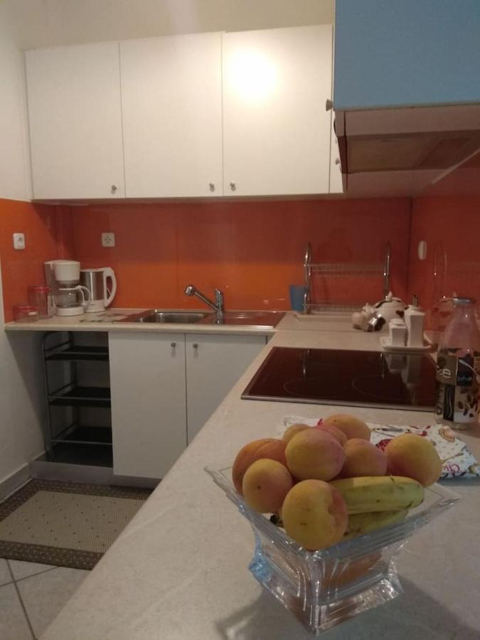 Flat With Garden Near Sea, Port And Airport
